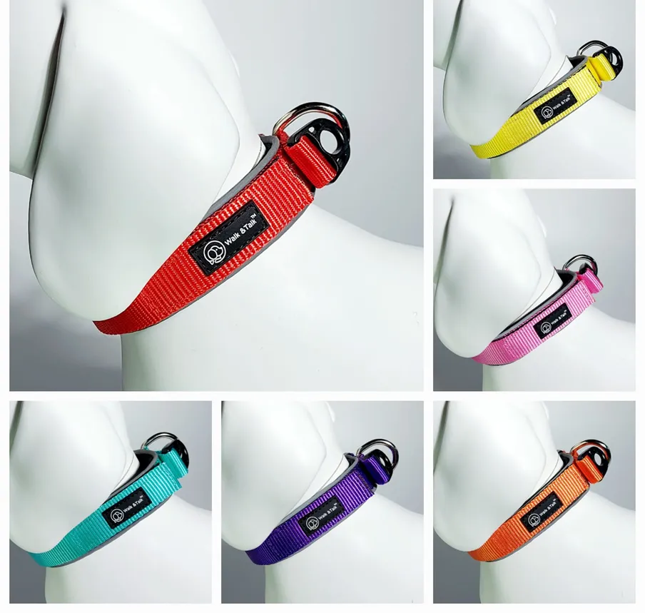 Collar | 頸圈